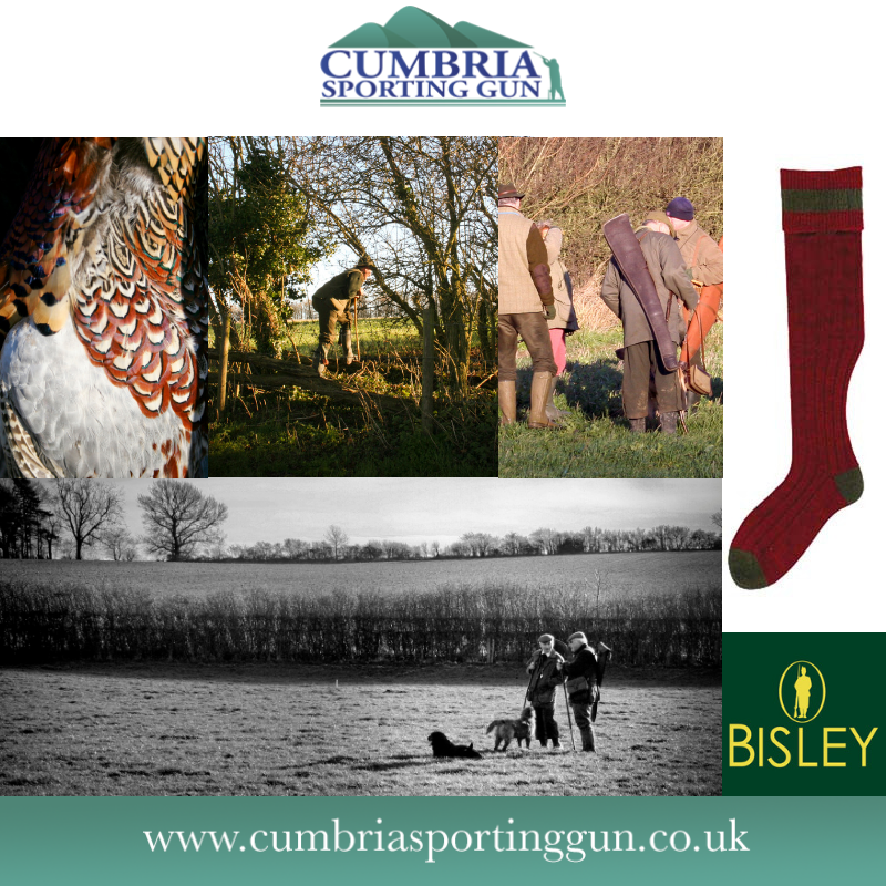 Your best day to come could WIN you some socks!