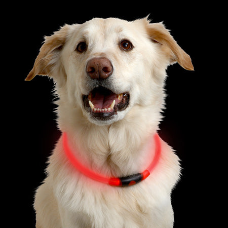 Nitehowl LED Safety Necklace