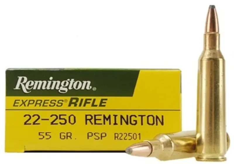 REMINGTON .22-250 55g PSP R22501