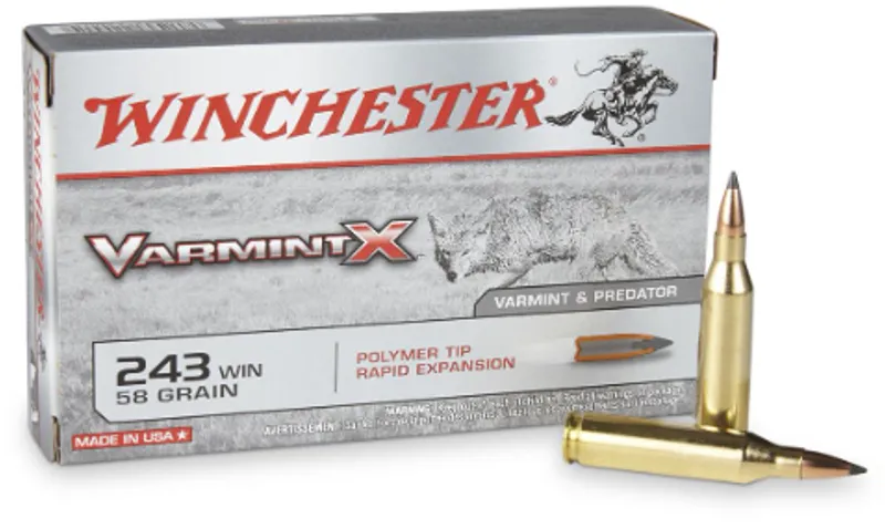 WINCHESTER 243 58g VARMINTX 243P