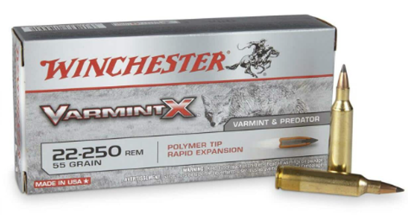 WINCHESTER .22-259 55gVARMINT X X22250P