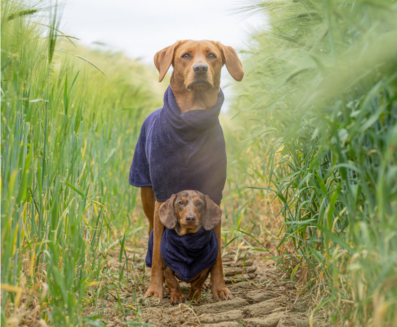 RUFF AND TUMBLE Classic Dog Drying Coat BLACKBERRY XL Top Line 64cm-72cm